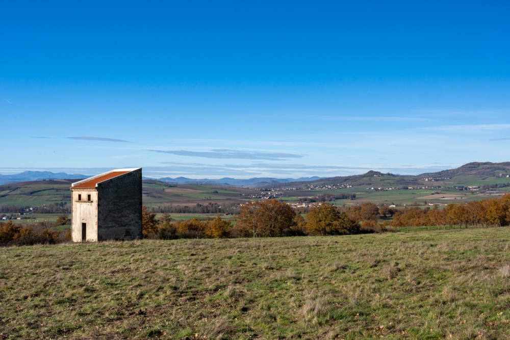 COCHONIODE112024_@leboncliche(cochons)