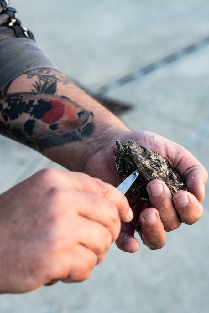 COCHONIODE112024_@leboncliche(huitres)-110