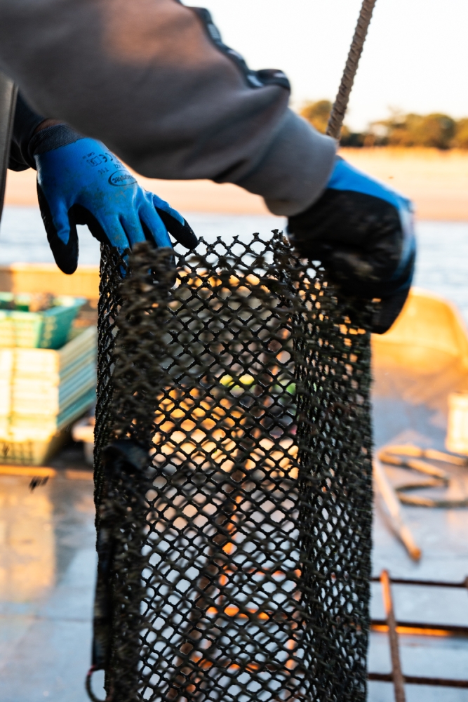 COCHONIODE112024_@leboncliche(huitres)-22