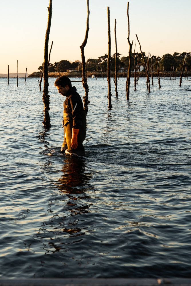 COCHONIODE112024_@leboncliche(huitres)-24