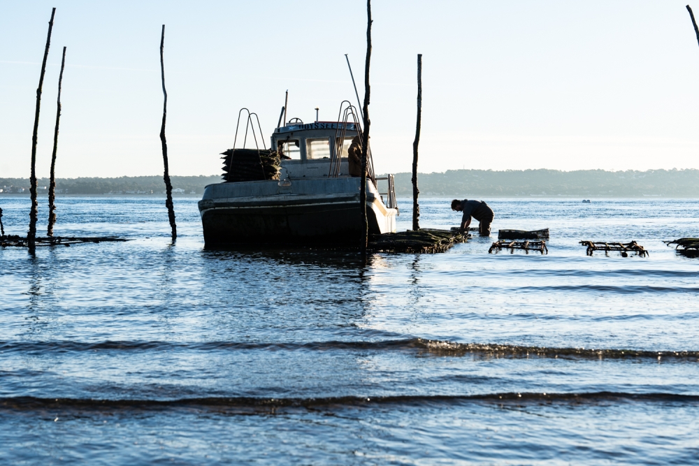 COCHONIODE112024_@leboncliche(huitres)-40