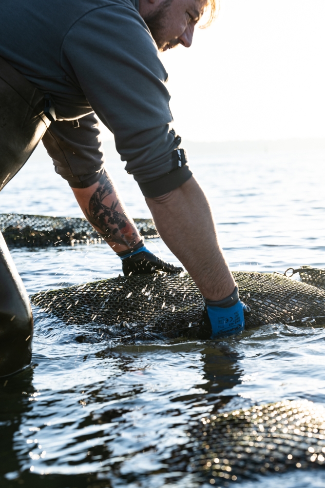 COCHONIODE112024_@leboncliche(huitres)-48