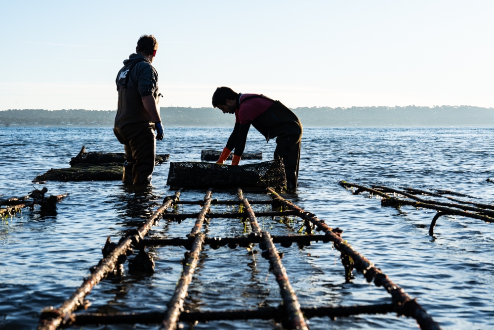 COCHONIODE112024_@leboncliche(huitres)-53