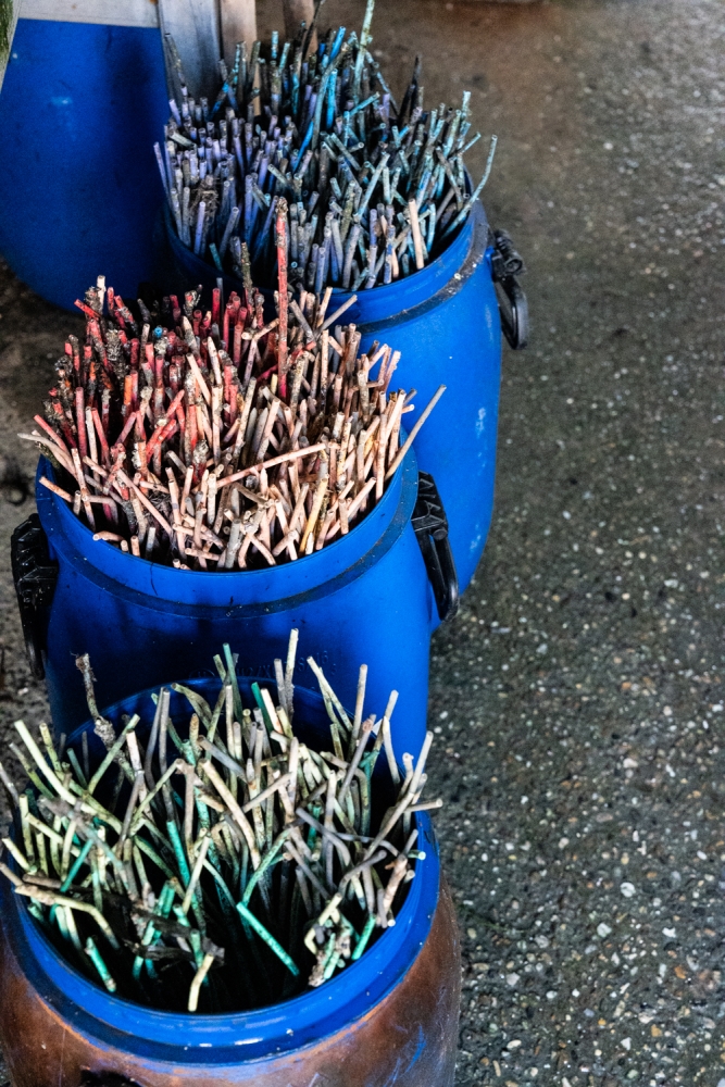 COCHONIODE112024_@leboncliche(huitres)-91