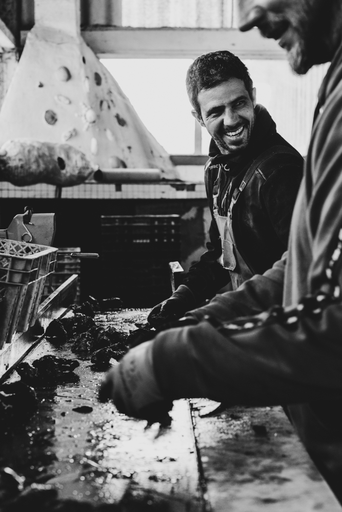 COCHONIODE112024_@leboncliche(huitres)-95