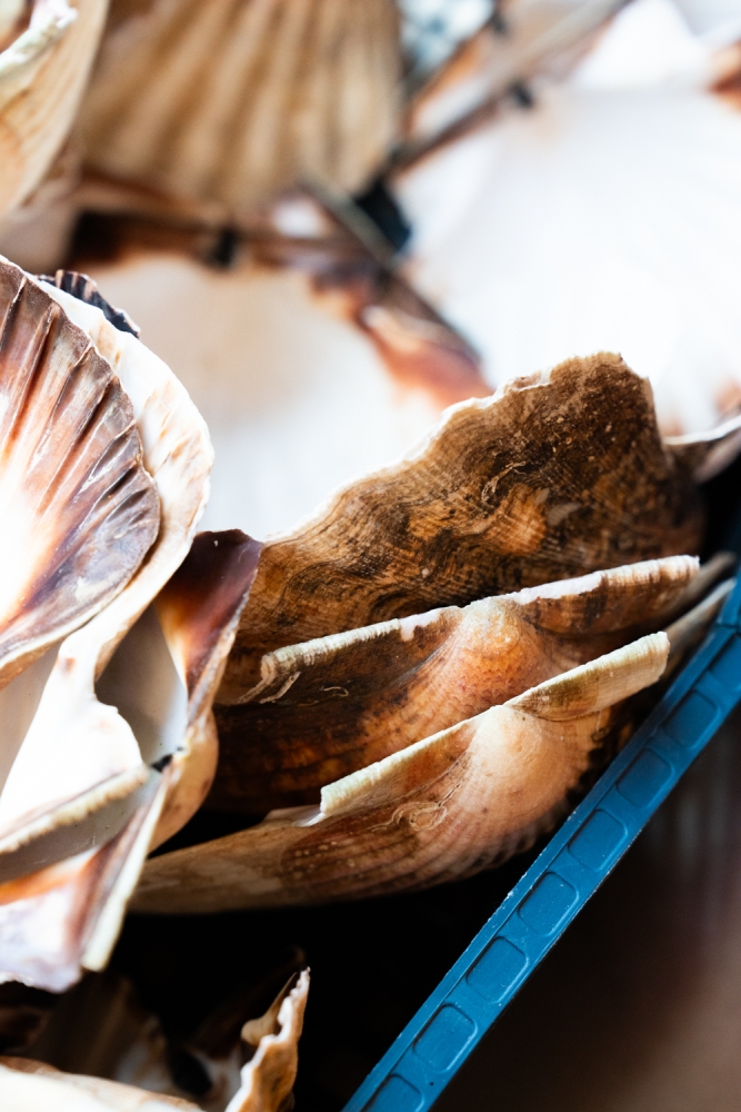 COCHONIODE122024_@leboncliche(restolyon3)-35