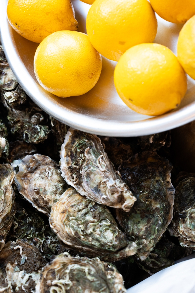 COCHONIODE122024_@leboncliche(restolyon3)-36