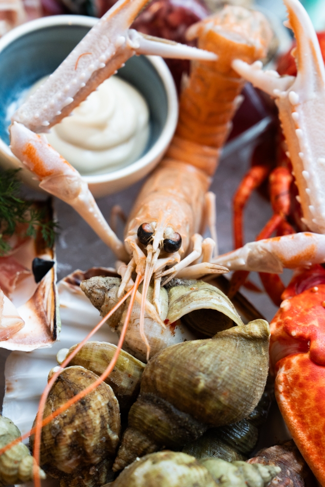 COCHONIODE122024_@leboncliche(restolyon3)-49