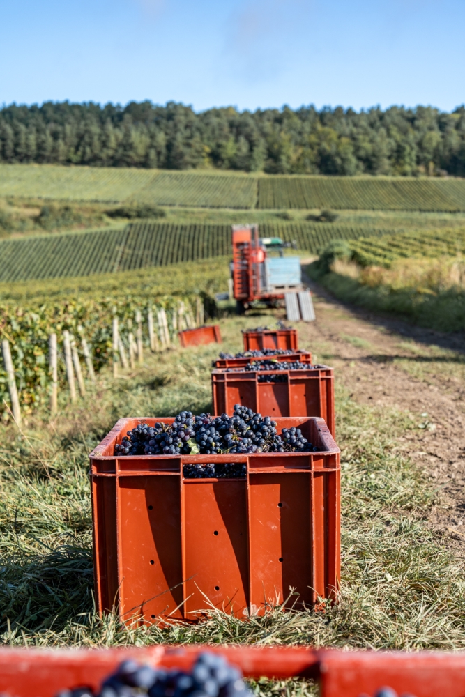 DOMCLAUDEBERNARD092024_@leboncliche-17