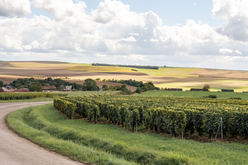 DOMCLAUDEBERNARD092024_@leboncliche-19