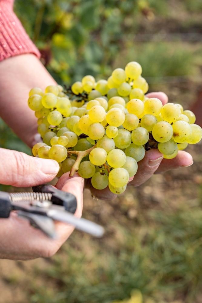 DOMCLAUDEBERNARD092024_@leboncliche-22