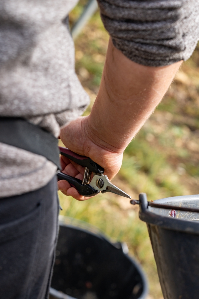 DOMCLAUDEBERNARD092024_@leboncliche-26