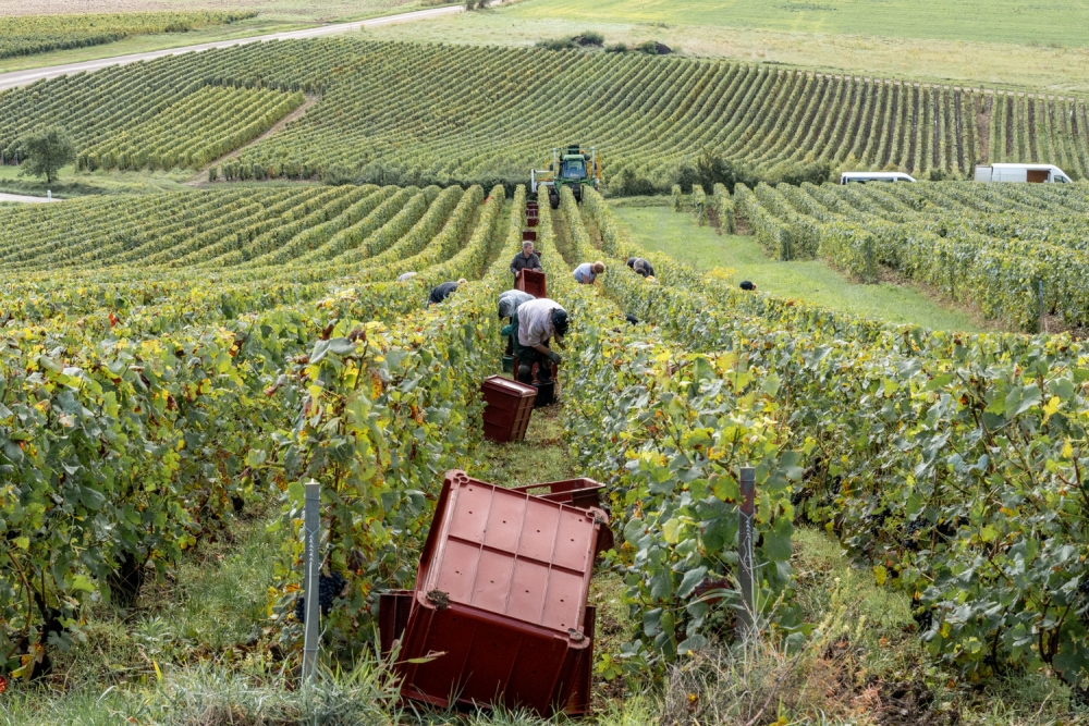 DOMCLAUDEBERNARD092024_@leboncliche-27