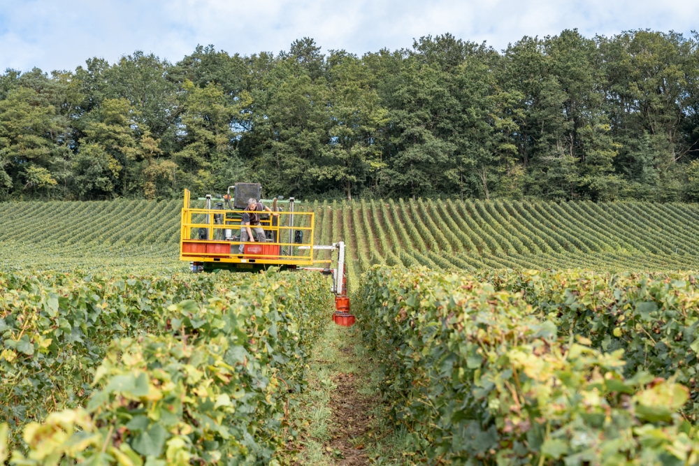 DOMCLAUDEBERNARD092024_@leboncliche-44