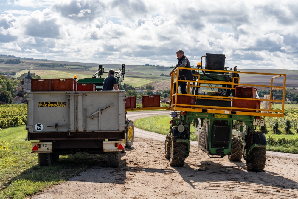 DOMCLAUDEBERNARD092024_@leboncliche-45