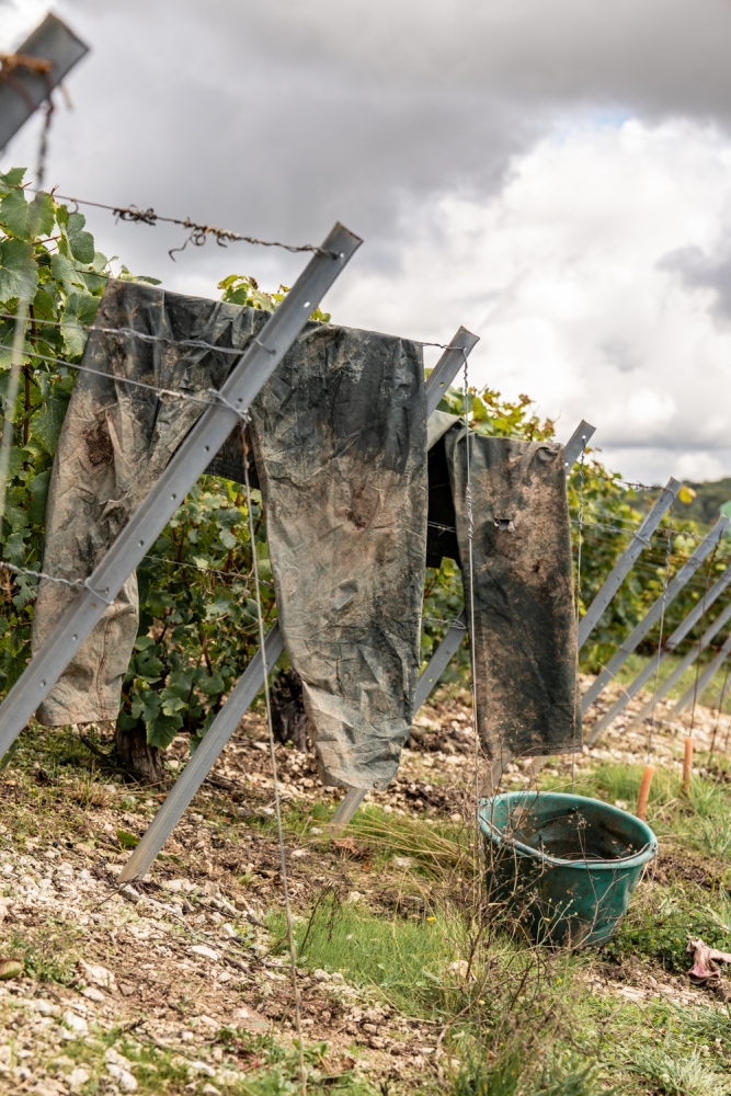 DOMCLAUDEBERNARD092024_@leboncliche-60