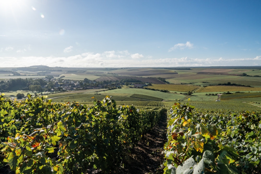 DOMCLAUDEBERNARD092024_@leboncliche-7