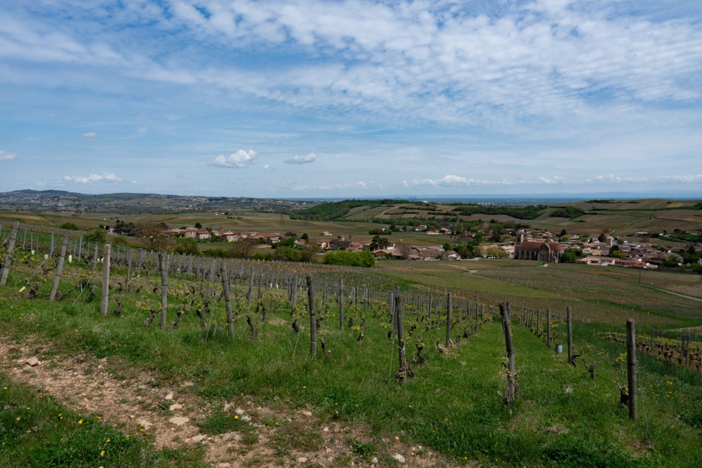 ROBERTDENOGENT270423_@leboncliche-1-14