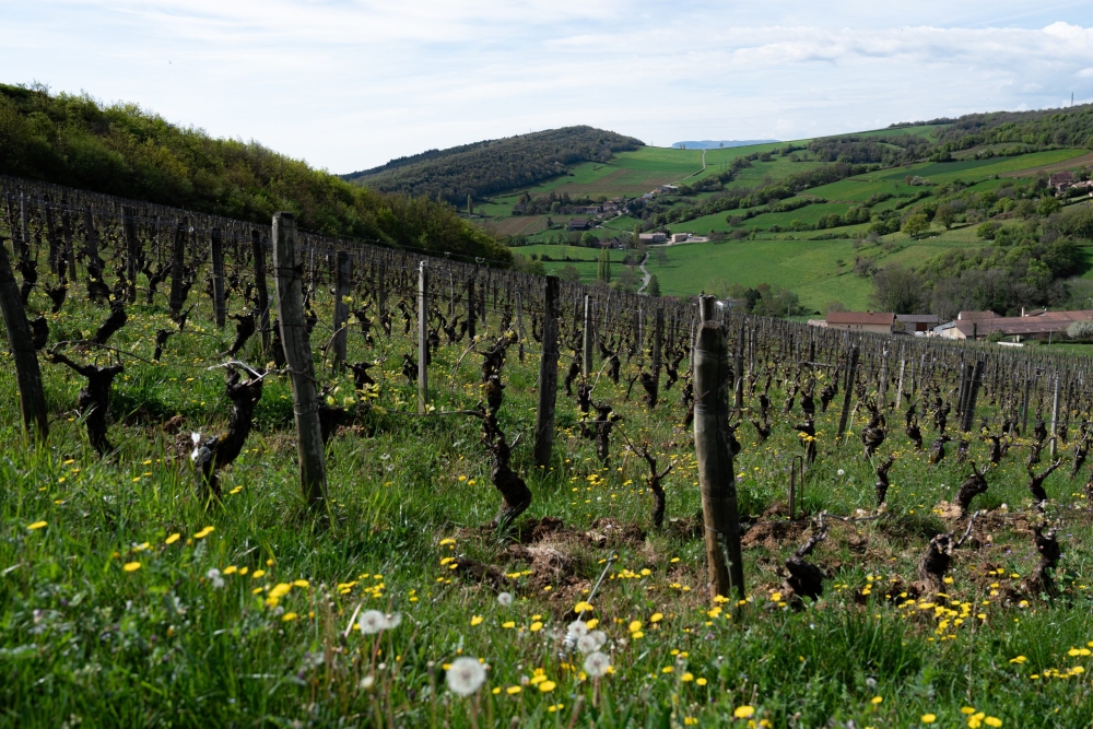 ROBERTDENOGENT270423_@leboncliche-1-6