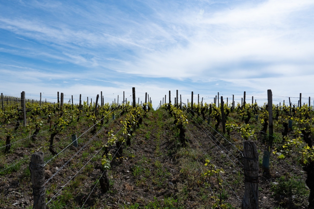 ROBERTDENOGENT270423_@leboncliche-1-9