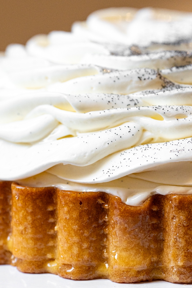 TONYPLUOT092024_@leboncliche-40