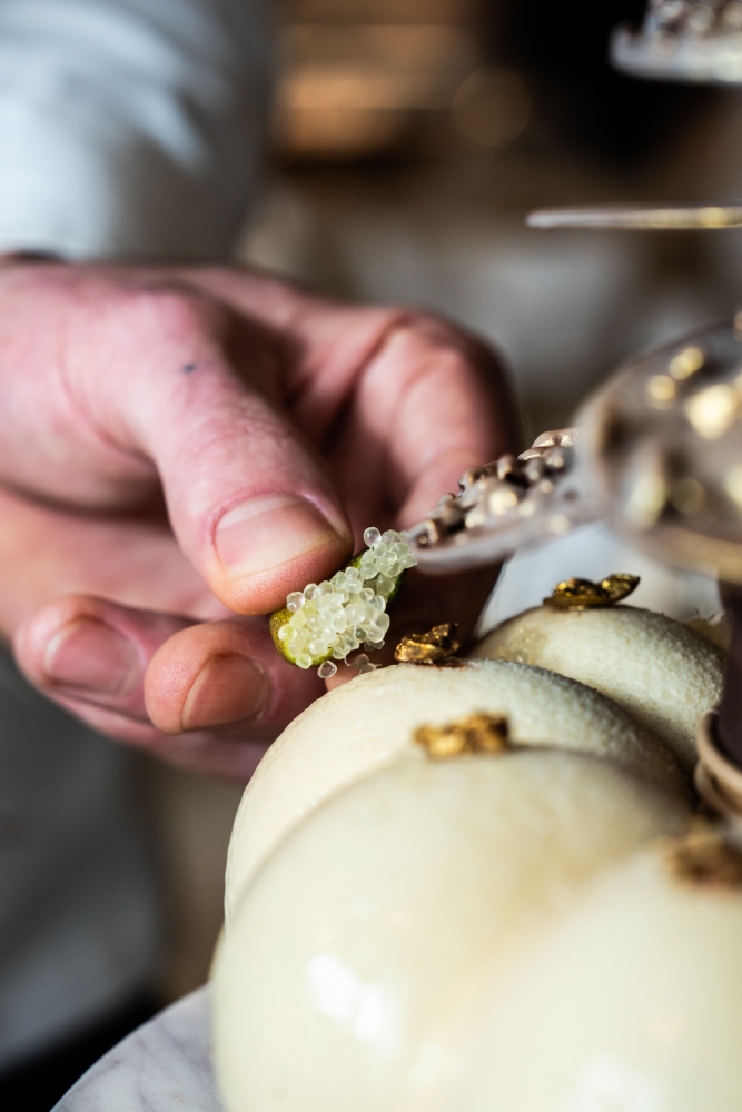 TONYPLUOT112024_@leboncliche-11