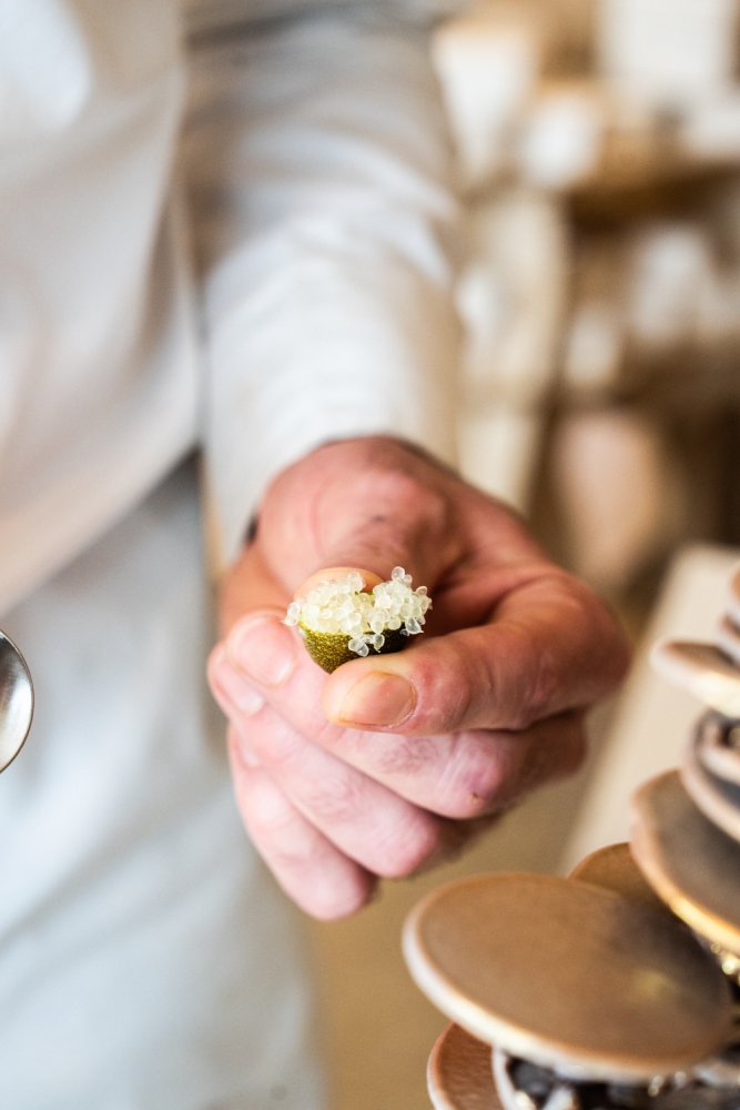 TONYPLUOT112024_@leboncliche-7