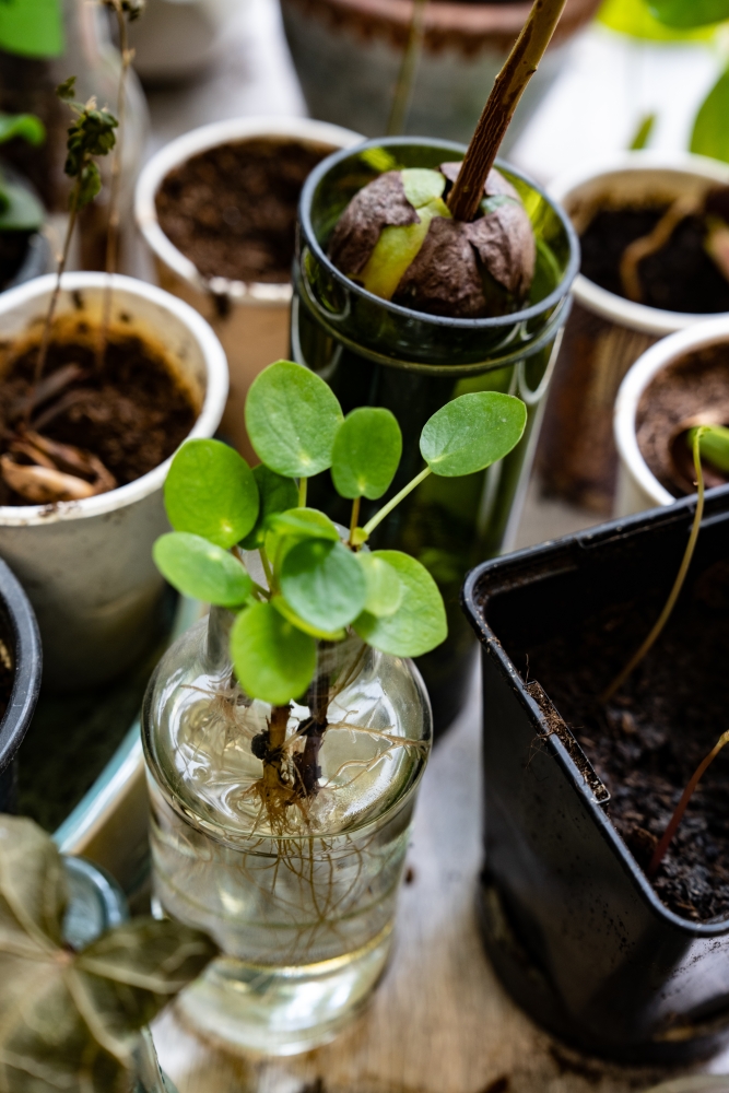 ATELIERECONOMAD23052023 @leboncliche