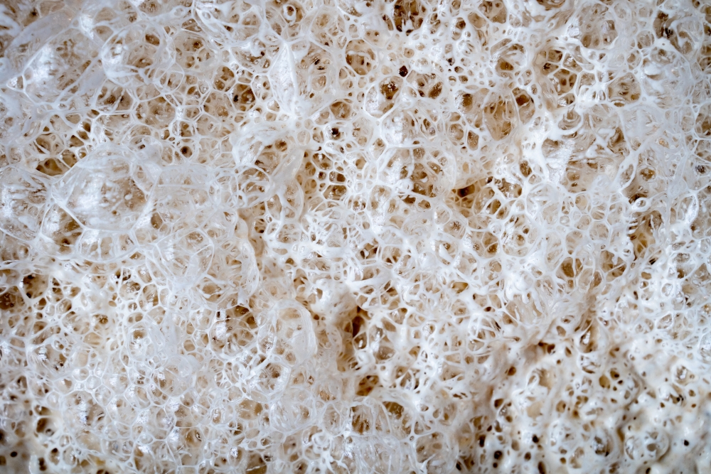 BANNETON052023 @leboncliche-Copie