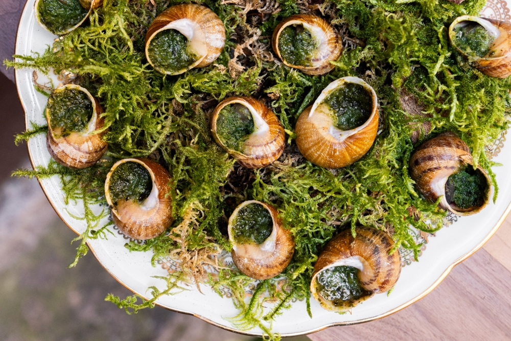 CONTRECHAMP072024 @lebonclicheplats-3