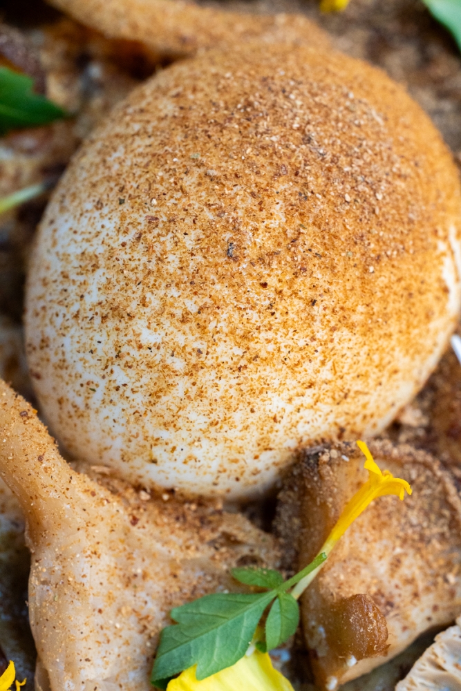 CONTRECHAMP072024 @lebonclicheplats-49