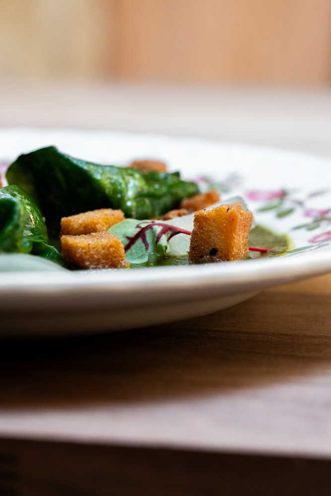 CONTRECHAMP - JEREMY GALVAN