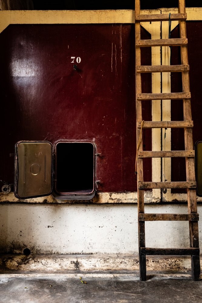 DOMAINEDES6MOULINS112023 @leboncliche-14