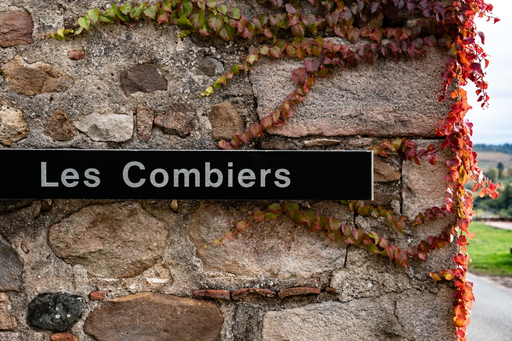 DOMAINEDES6MOULINS112023 @leboncliche