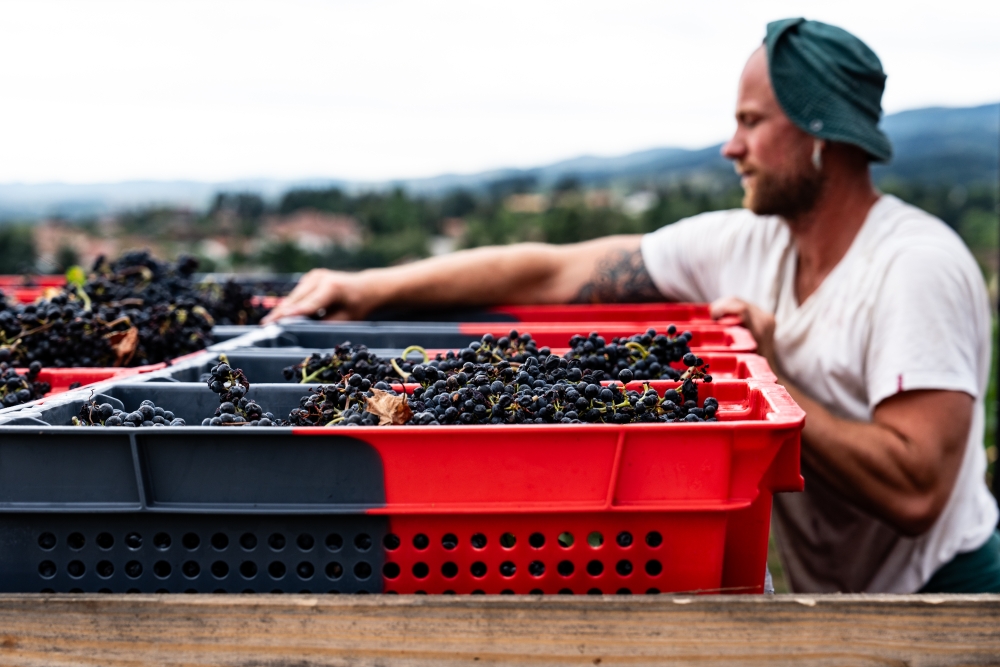 DOMAINESEROL 190923@leboncliche-28