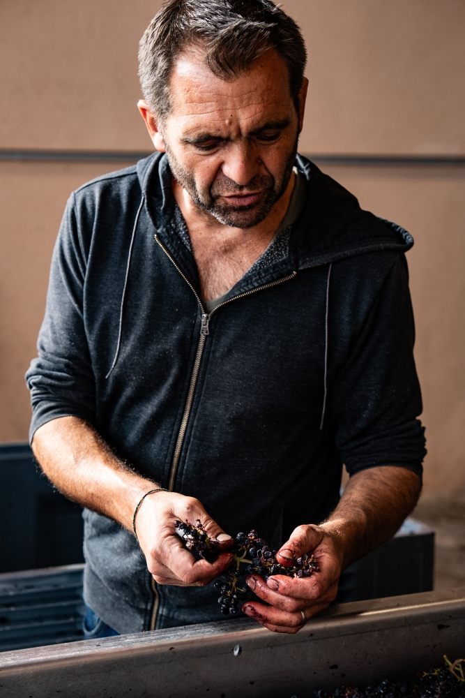 DOMAINESEROL 190923@leboncliche-50