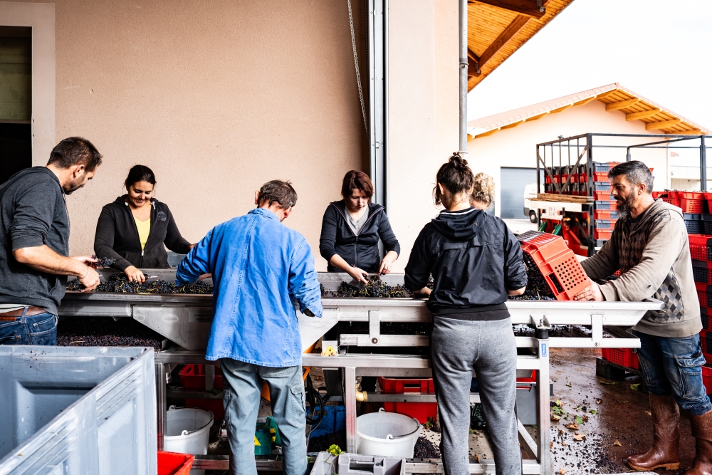 DOMAINESEROL 190923@leboncliche-54