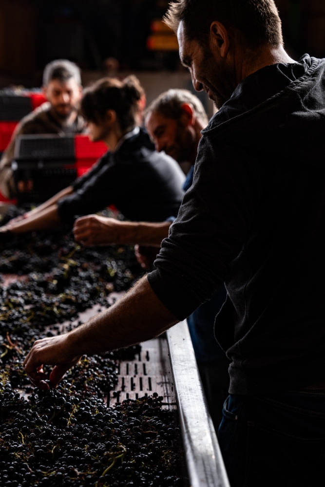 DOMAINESEROL 190923@leboncliche-55