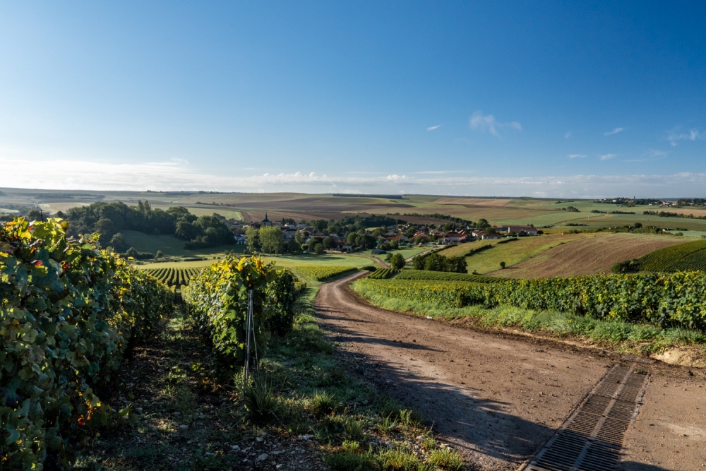 DOMAINE CLAUDE BERNARD
