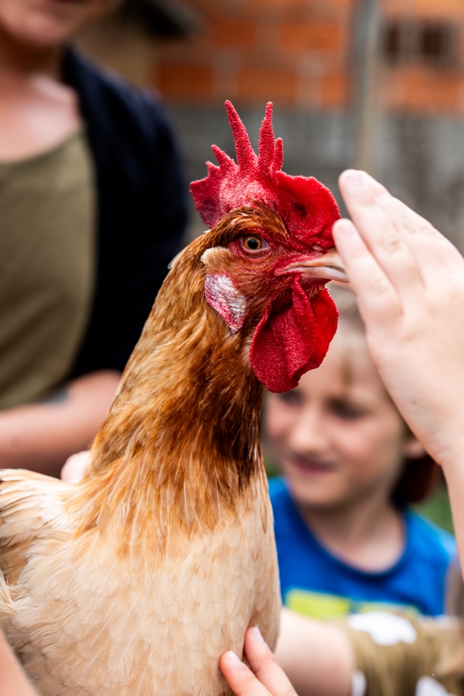 LA FERME DES IRREDUCTIBLES