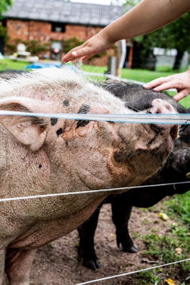 FERMEDESIRREDUCTIBLES072024 @leboncliche-30