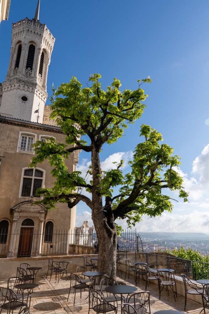 HYGGELIG EMU052024 @leboncliche-2