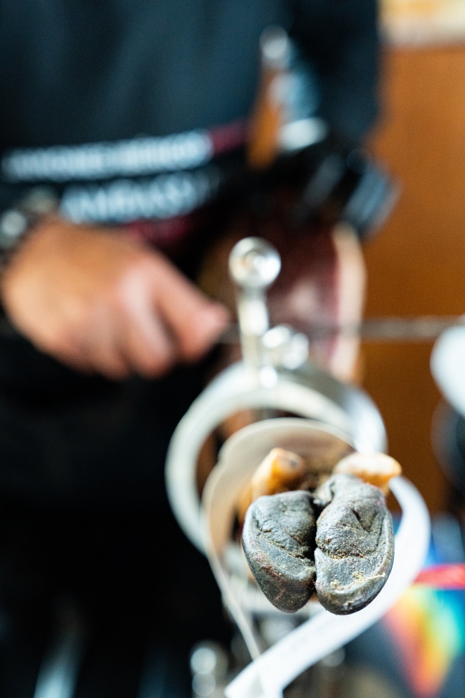 LASCENSOIR102023 @leboncliche-5