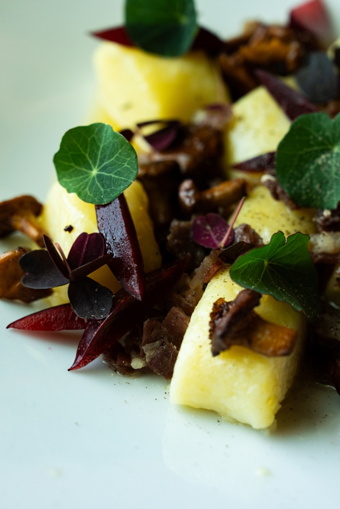 LASCENSOIR102023 @leboncliche-68