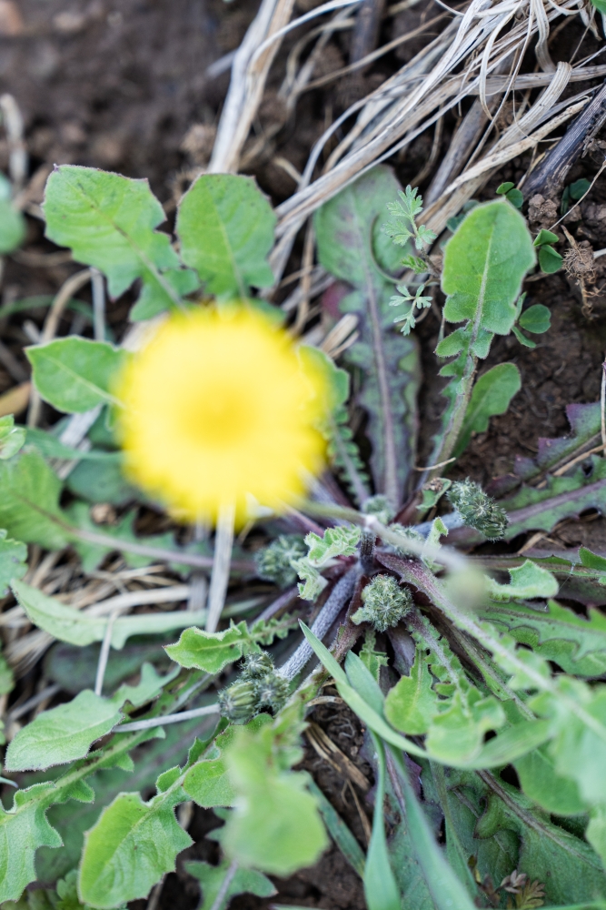 LASSARAT032024 @leboncliche-14