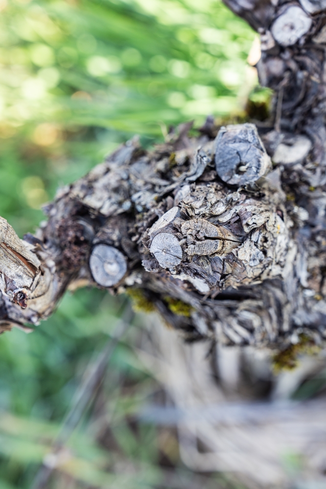 LASSARAT032024 @leboncliche-2