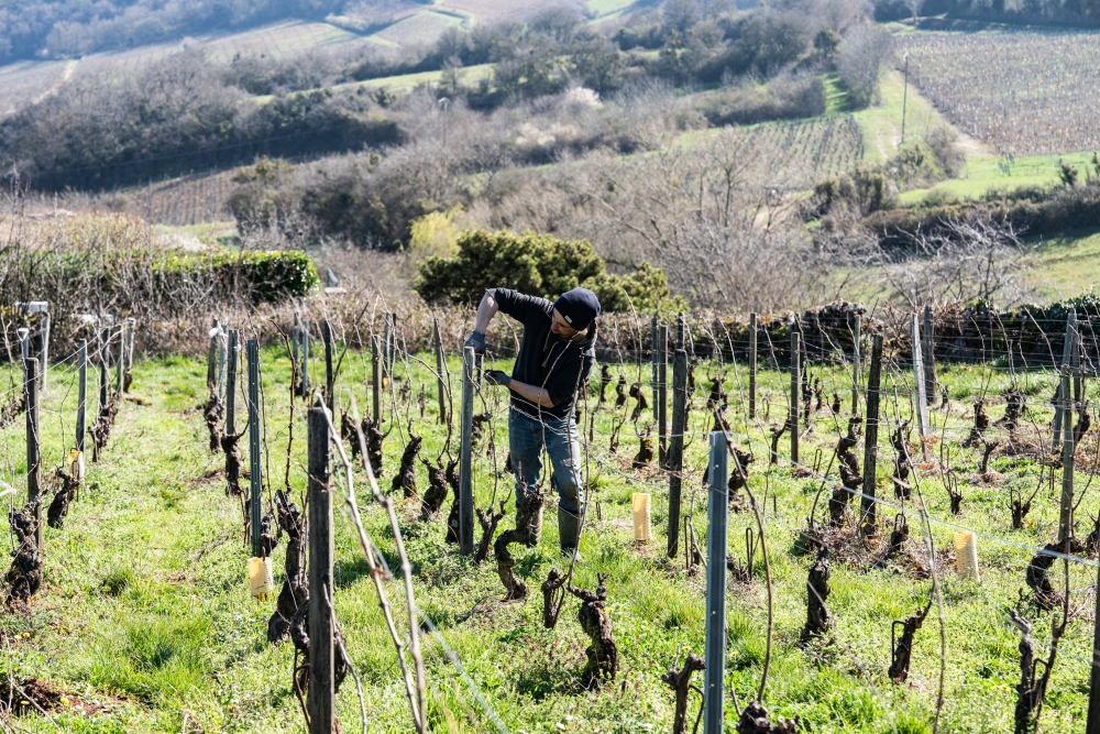 LASSARAT032024 @leboncliche-29