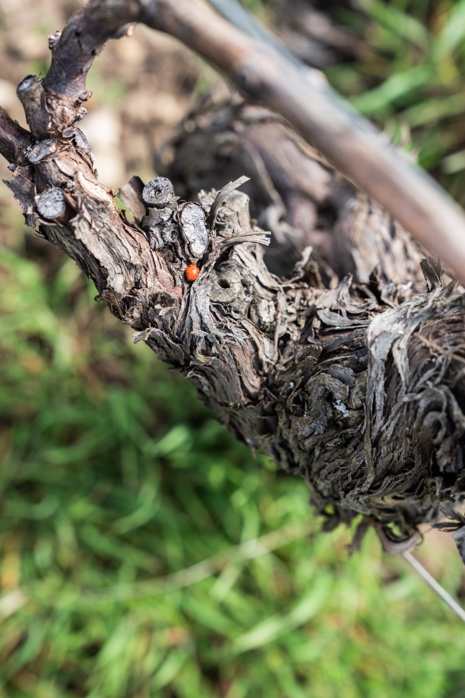 LASSARAT032024 @leboncliche-3