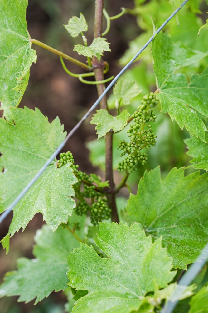 LASSARAT05032024 @leboncliche-16