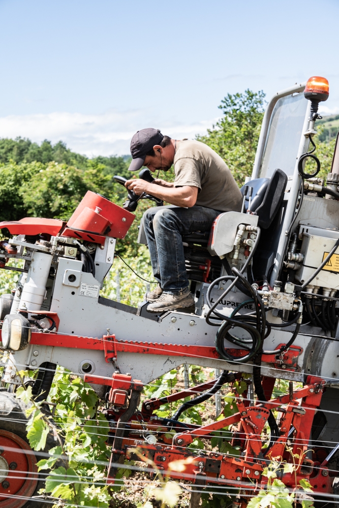 LASSARAT05032024 @leboncliche-18